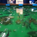 청춘바다낚시 이미지