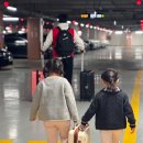 킹콩놀이샵 | 아이랑 베트남여행 인천공항 팁 / 푸꾸옥 킹콩마트 근처 식당 메오키친(MEO kitchen) 내돈내먹...