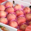 무주읍165 이미지