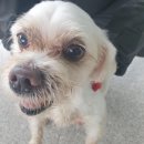 구미대로 이미지