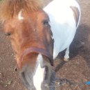 로그밸리 이미지