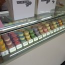 비비드마카롱 이미지