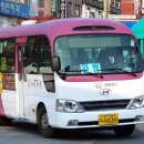 신성여객 이미지