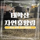 태학산자연휴양림오토캠핑장 | 충남 천안 태학산 자연휴양림 오토캠핑장 후기와 근교 계곡 추천