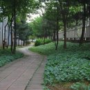 대자경로당 이미지