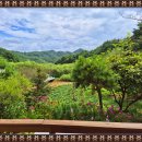 두메축산 이미지