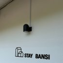 스테이반시 | 청도 : 스테이 반시