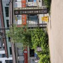G5298 | 강남 아이와 가볼만한곳: 선릉과 정릉 역사문화관까지 초등 역사 나들이 후기