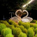 우둠지아트빌리지 이미지