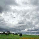 사임당주유소 이미지