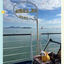 펫배요 | 애견동반 제주살이 제주배편 실버클라우드 제주완도 차량선적, 펫프랜들리 펫룸이용 추천후기