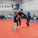 더혼 명촌도장 이미지