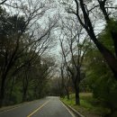 올림픽 골프존 | {블루원CC동코스}초보자들이 연습하기 좋은 퍼블릭 코스👌내돈내산 코스 설명