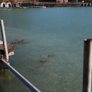 살구골낚시터 이미지