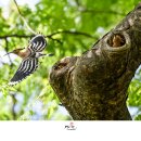 별빛뜨락 이미지