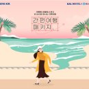 한진카메라 뉴데일리