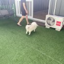 신명 당구장 이미지