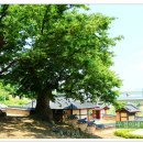 고산서당 이미지