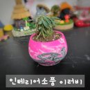 러비 | 감각적인 디자인의 인테리어소품 쇼핑몰 &#39;이러비&#39; 이용 후기