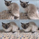 인동28길-8 이미지