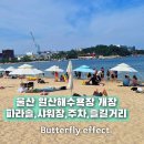튼튼키크기운동교실 | 울산 일산해수욕장 개장 후기 파라솔 샤워장 주차 즐길거리