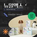 통일동물병원 | 유기농 반려견 사료, 병원에서 추천하는 기준은 무엇일까, 뉴알엑스