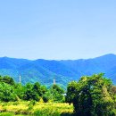 비슬산 옥포 기세리임도 - 용두봉산행 ( 대구, 달성 ) 이미지