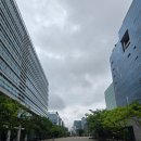 차엔 | [판교 유스페이스 맛집] 고급스러운 중화요리 차엔 후기! 이색적인 차돌 마라짬뽕과 찹쌀탕수육으로...