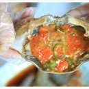 통나무아일랜드 이미지