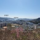 회원동265 이미지