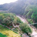 숲과계곡속으로 이미지