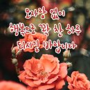 블링하루 이미지