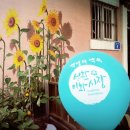 성환이화시장 이미지