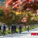 달리는자전거 이미지