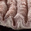 르네여성의원 이미지