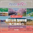 삼호 철새마을 하우스 이미지