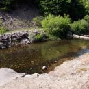 숲이조아캠핑장 이미지