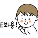 라피안타 네이버블로그
