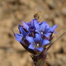 약초와 생활한방 이미지