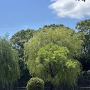 천지사우나 | T8. 진짜 유익하고 재밌는ㅋ 3박 4일 도쿄 Part 2. 맛집멋집 + 동네사우나 후기