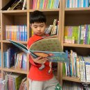 한샘학원 | 거실 서재화 가성비 책장 추천 한샘 샘 책장 5단 3년 사용 후기