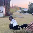 함창명주박물관 | ㅣ근데 여기 고양이 카페인가요?ㅣ대구 근교 드라이브ㅣ함창, 명주박물관, 데이트코스, 주말나들이 추천