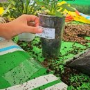 [10/20]가드닝 클래스 이미지