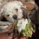 마포연탄불갈비 이미지