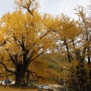 태양에너지 이미지