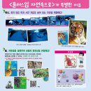 자연속으로 이미지