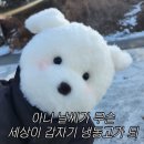 남해여행 | 5주년 기념여행 | 남해 보리암 | 남해 풀빌라
