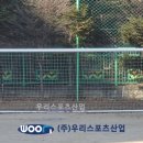 금릉중학교 이미지