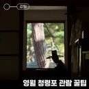 청령포관광안내소 | 아이와 떠나기 좋은 가을 역사 여행지 추천 ! :: 강원 영월 청령포 🏞