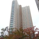 포항시북구65 이미지